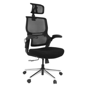 Flexispot BS1B Adjustable Height Adjustable Backrest Ergonomic Design Chair BackSupport Office Chair (Black)