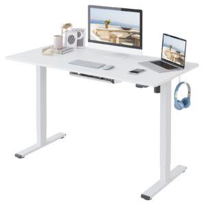FLEXISPOT Essential Electric Standing Desk Height Adjustable Standing Desk Sit Stand Desk Adjustable Desk Stand Up Desk for Home Office (100 * 60cm