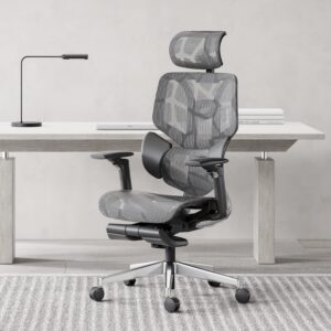 Hbada Ergonomic Office Chair Elastic Adaptive Adjustment Back Lumbar Support Computer Chair