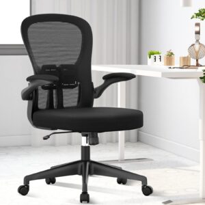 Desk Chair - Ergonomic Office Chair with Adjustable Armrest Lumbar Support