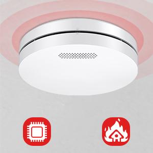 linked smoke alarms and heat detector