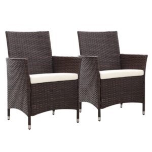 The Fellie Rattan Chairs Garden Armchair Outdoor Dining Chair Patio Lounge Seats Bistro Chair with Cushion (2PC