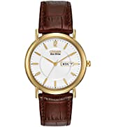 Citizen Eco-Drive Men's Perpetual Chrono A.T
