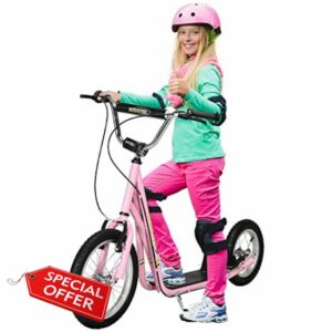 HOMCOM Teen Stunt Scooter Push Kick Scooters for Kids with Rubber Wheels Adjustable Handlebar Front Rear Dual Brakes Kickstand