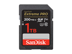 Extreme SD UHS-I Card 256GB