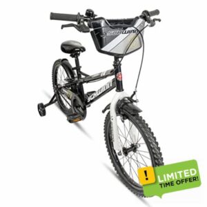 Schwinn Koen Toddler and Kids Bike