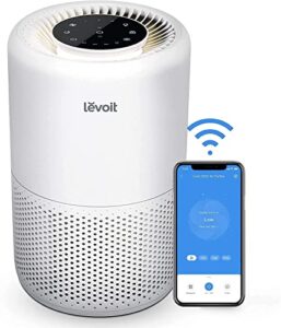 Alexa Enabled H13 HEPA Filter