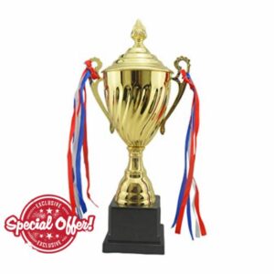 NUOBESTY Gold Award Trophy Cups First Place Winner Award Trophies Metal Olympic Medals For Big Spelling Bee World Cup Competitions Prizes Basketball Game 29CM