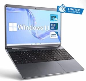 SGIN 15.6 Inch Laptop Windows 11 12GB DDR4 512GB SSD (TF 512GB)