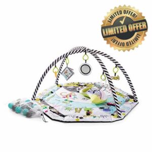 Kinderkraft Baby Playmat SMARTPLAY
