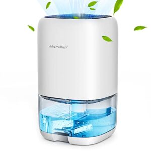 Dehumidifiers for Home