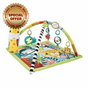 Fisher-Price 3-in-1 Baby Gym