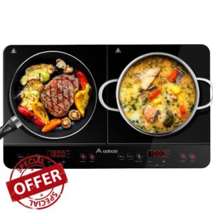 Aobosi Double Induction hob