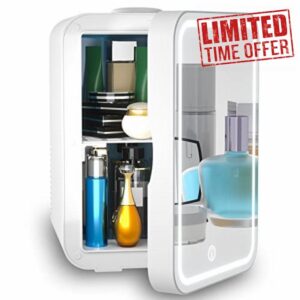 Mini Fridge 6 Liter AC/DC Portable Beauty Fridge Thermoelectric Cooler and Warmer for Skincare