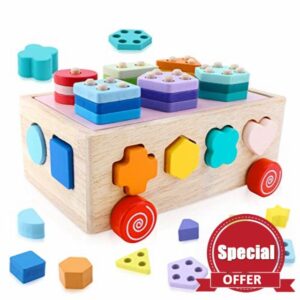 icyant Montessori Toy for Toddlers