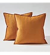 Topfinel Sage Green Cushion Covers 40cm x 40cm Spring Sofa Bed Colorful Cushions Soft Velvet Pill...