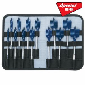 BOSCH DSB5013P 13-Piece Daredevil Spade Bit Set in Pouch