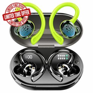 Rulefiss Wireless Earbuds
