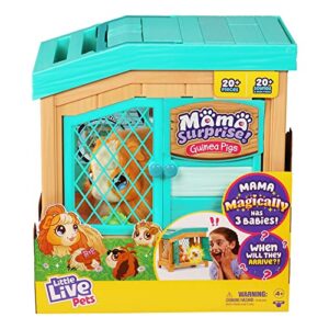 Interactive Mama Guinea Pig and her Hutch