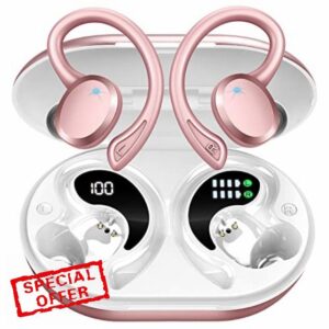 Rulefiss Wireless Earbuds