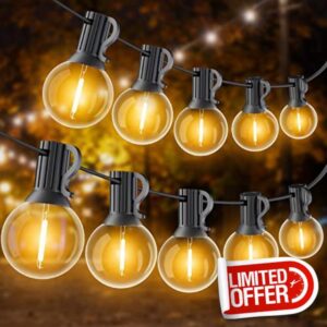 Outdoor Festoon Lights Mains Powered 30M/100FT