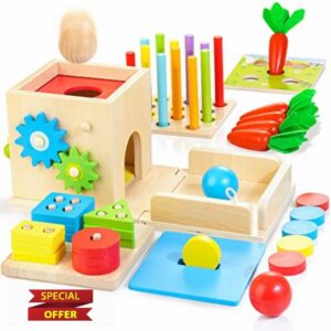 Kizfarm 8-in-1 Wooden Montessori Toys for 1 Year Old