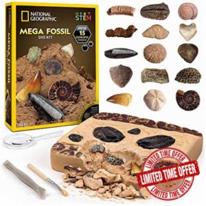 National Geographic Mega Fossil Dig Kit – Excavate 15 Real Fossils Including Dinosaur Bones