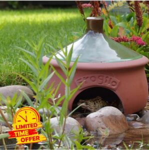 Wildlife World Cf/TH2 Ceramic Frog & Toad House