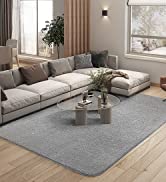 Color G Area Rugs, Extra Large Size Washable Carpet Mat Living Room, Anti Slip Fluffy Floor Rug, ...