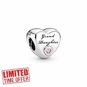 Pandora Moments Women's Sterling Silver Granddaughter's Love Cubic Zirconia Bracelet Charm
