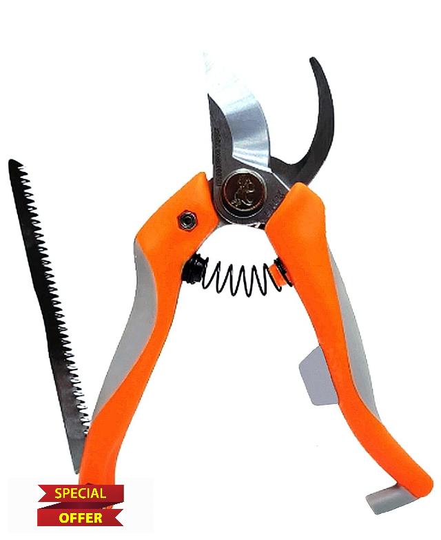 Pruning Shears