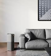 AEG AX91-404GY AX9 Smart Connected Air Purifier for Home, H12 Active Carbon Filter, Removing up t...