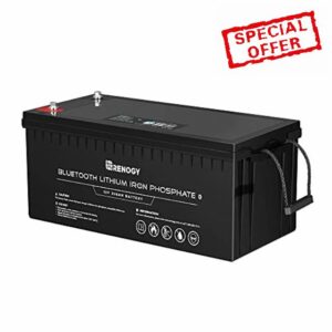 Renogy 12V 200Ah LifePO4 Lithium Battery with Built-in Bluetooth module 5.0
