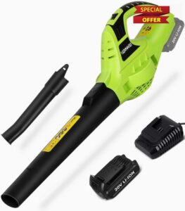 Bigzzia Cordless Leaf Blower Electric Garden Blower with 20V Battery 1 Charger 2-Speed Modes 2 Detachable Tubes