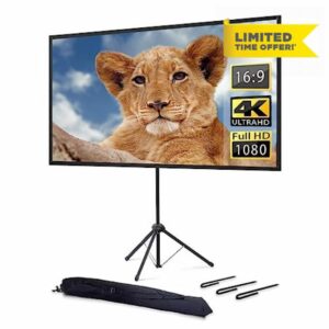 Projector Screen and Stand