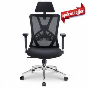 Ticova Ergonomic Office Chair - High Back Desk Chair with Adjustable Lumbar Support