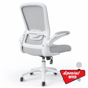 Farini Office Chair 90Flip-up Armrest Desk Chair Lumbar Support Ergonomic Computer Chair