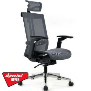 Realm of Thrones COMMODORE AIR Ergonomic Mesh Office Chair with 4D Armrests