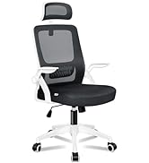 ELFORDSON Office Chair Ergonomic, Mesh Fabric, Arco Series, White and Grey