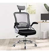 ELFORDSON Office Chair Ergonomic, Mesh Fabric, Arco Series, Dark and Grey