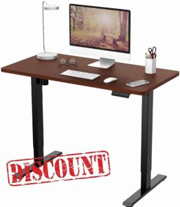 FLEXISPOT Electric Height Adjustable Standing Desk Sit Stand Desk Adjustable Desk Stand Up Desk with Memory Smart Pannel EF1 SERIES(120 * 80cm