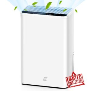 Dehumidifiers for Home