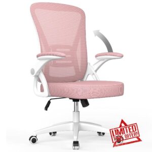 aspaluro Office Chair Ergonomic Desk Chair with 90° Flip-up Armrest Lumbar Support