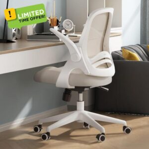 Hbada Office Chair Desk Chair with Flip Up Armrests