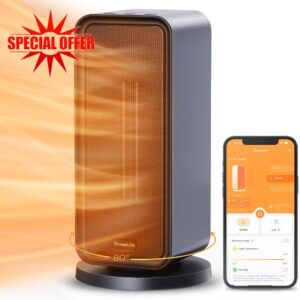 GoveeLife Electric Heater