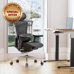 SIHOO Doro C300 Ergonomic Office Chair with Ultra Soft 3D Armrests