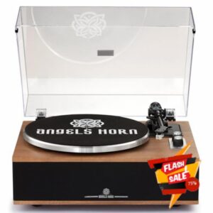 All-in-One Vinyl Record Player