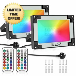 CLV 2 Pack 25W LED RGB Floodlight