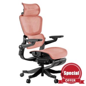 HINOMI 3D Lumbar Support Ergonomic Office Chair 5D Armrest Relieve Back Pain Home Computer Chair H1Pro High Back with Adjustable Headrest (Coral Red)