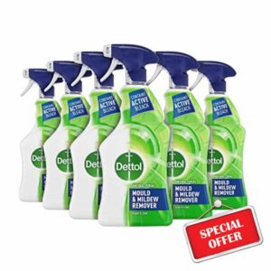Dettol Antibacterial Mould Spray and Mildew Remover